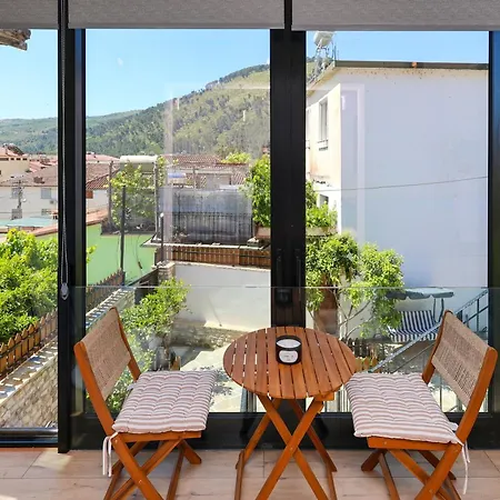 Center Berat